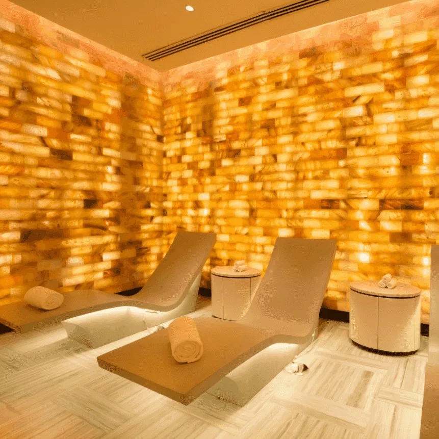 DLF The Camellias — club spa relaxation room — DLF Hospitality club photograph; membership and access terms apply. Not the offered residence.